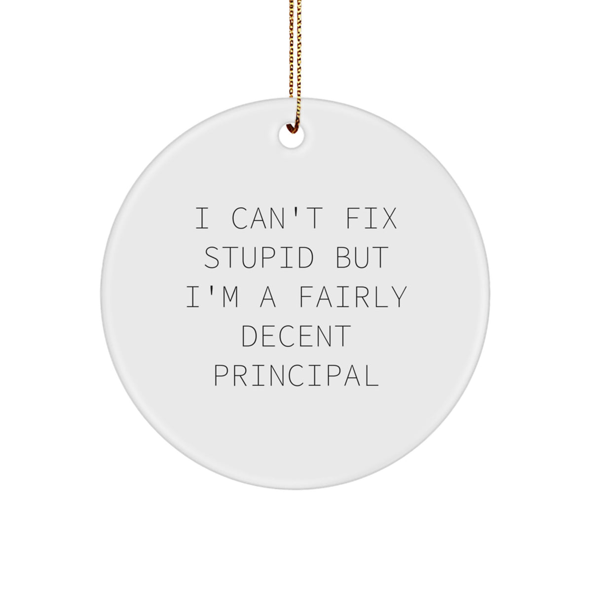 Principal Christmas Ornament I Can't Fix Stupid Gift Surprise for Teens - Image 1