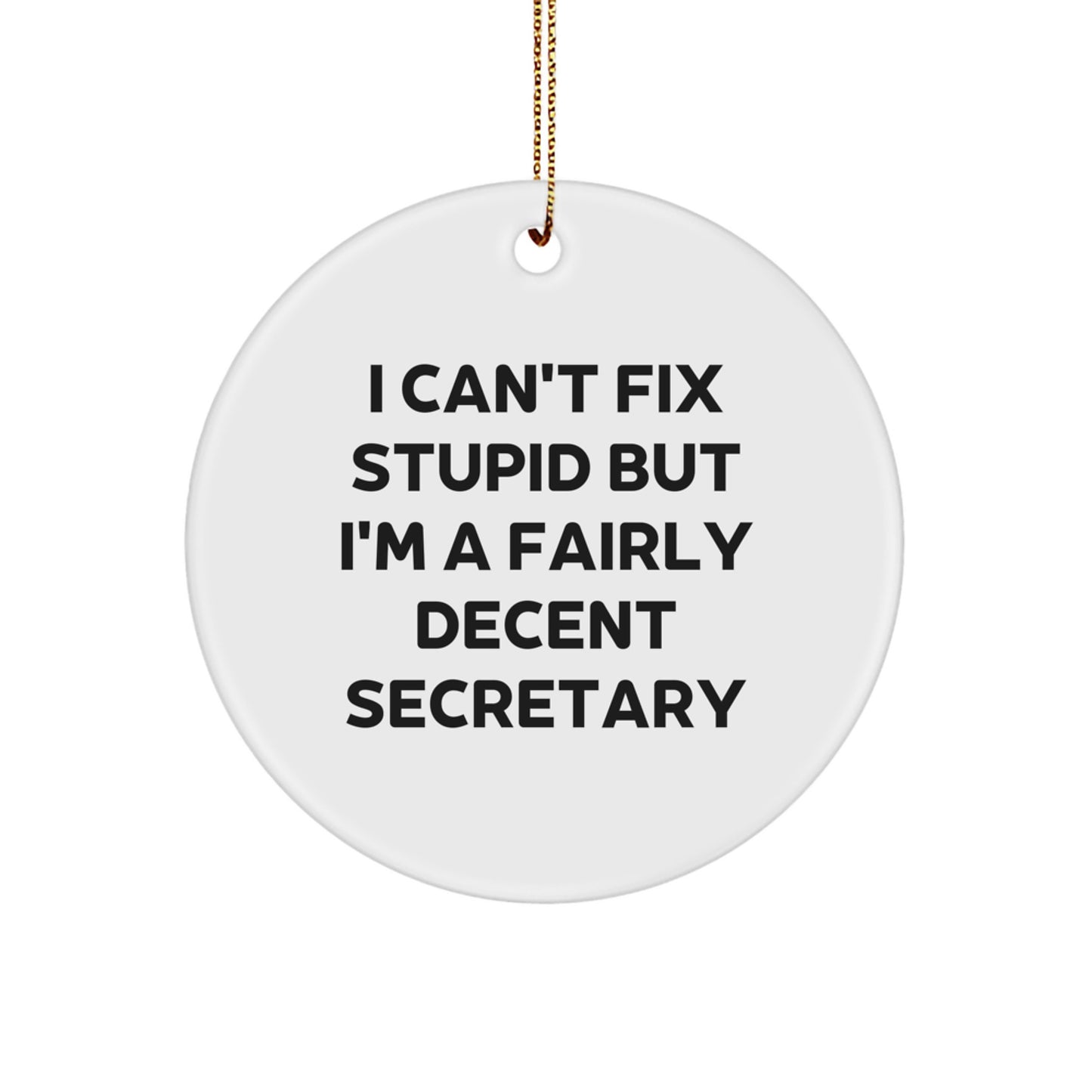 Funny Secretary Gifts from Men to Friends, Circle Ornament with I Can't Fix Stupid But I'm A Fairly Decent Quote, Christmas Unique Secretary Gifts - Image 1