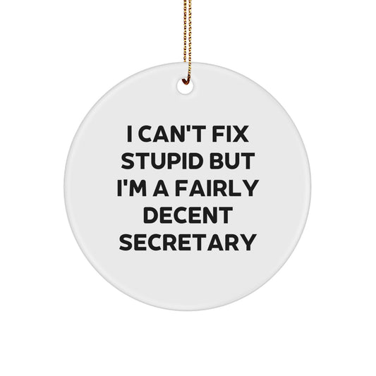 Funny Secretary Gifts from Men to Friends, Circle Ornament with I Can't Fix Stupid But I'm A Fairly Decent Quote, Christmas Unique Secretary Gifts - Image 1