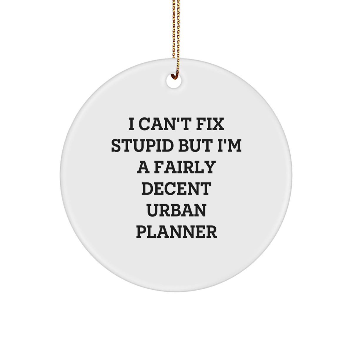 Christmas Gift for Teens Funny Urban Planner Christmas Ornament - I - Image 1