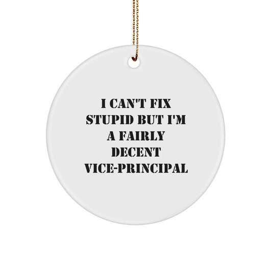 Funny Vice-principal Gifts for Men - I Can't Fix Stupid But I'm A Fairly Decent Vice-principal Circle Ornament, Gifts from Friends, Christmas Unique Gifts - Image 1