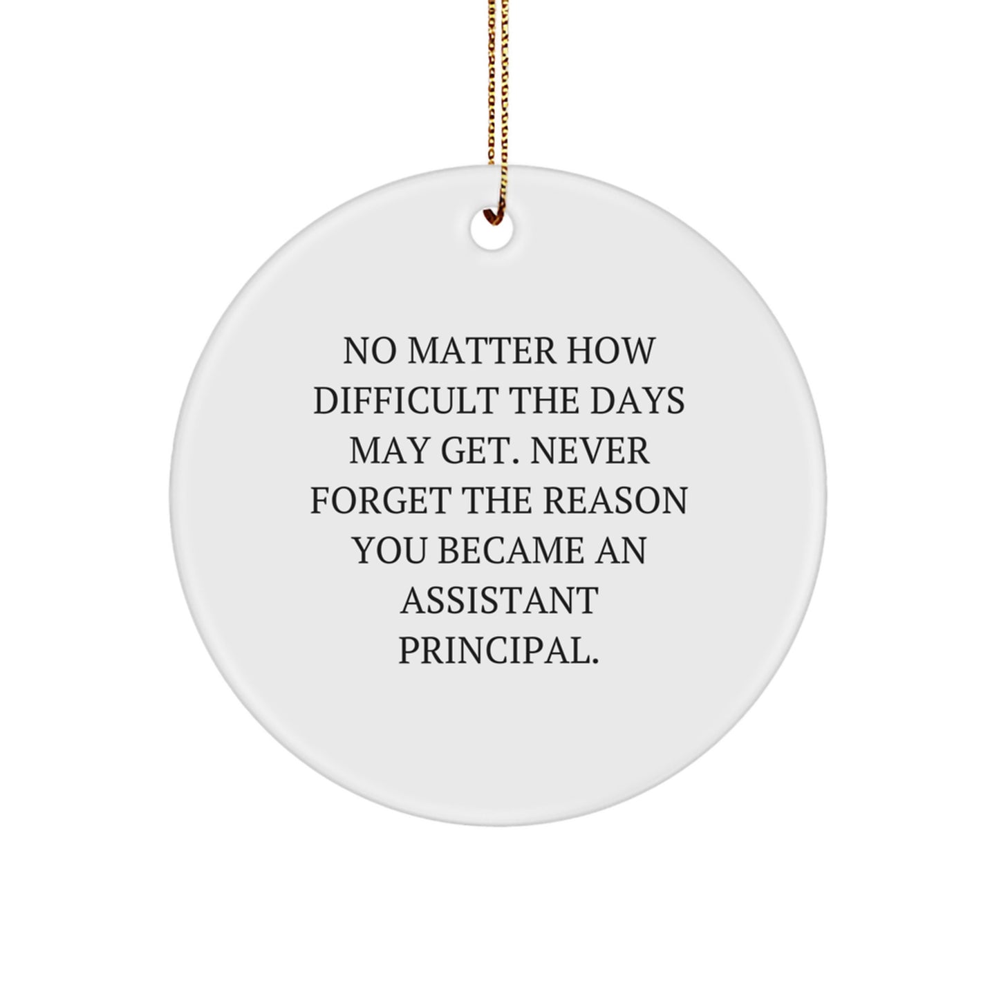 Inspirational Assistant Principal Gifts from Friends: Christmas Circle Ornament for Men, Women, or Coworkers - Never Forget the Reason You Became An Assistant Principal - Image 1