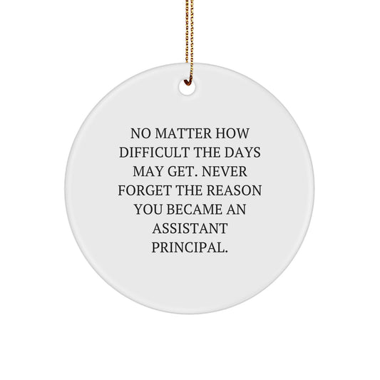 Inspirational Assistant Principal Gifts from Friends: Christmas Circle Ornament for Men, Women, or Coworkers - Never Forget the Reason You Became An Assistant Principal - Image 1