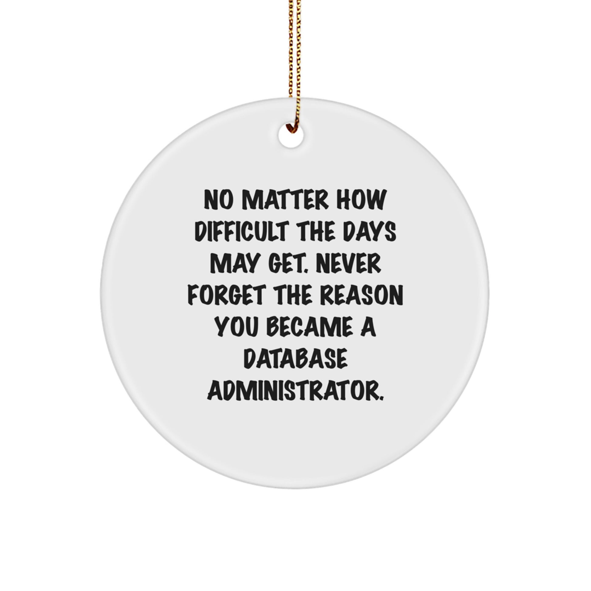 Funny Inspirational Database Administrator Gifts from Friends for Christmas - Circle Ornament - Image 1