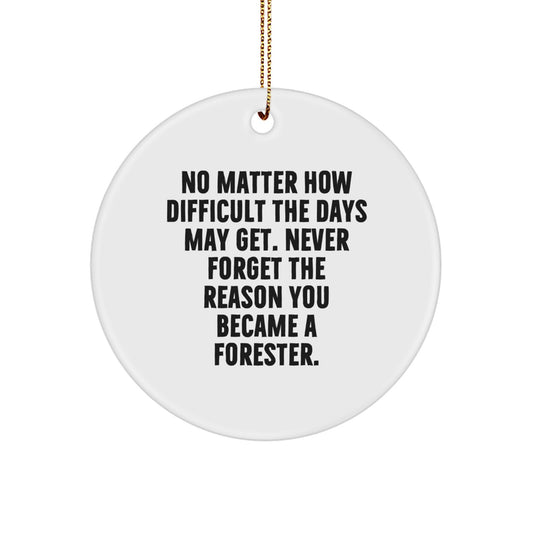 Inspirational Forester Gifts for Men, Circle Ornament with Funny Quote, Gifts from Family, Christmas Unique - Image 1