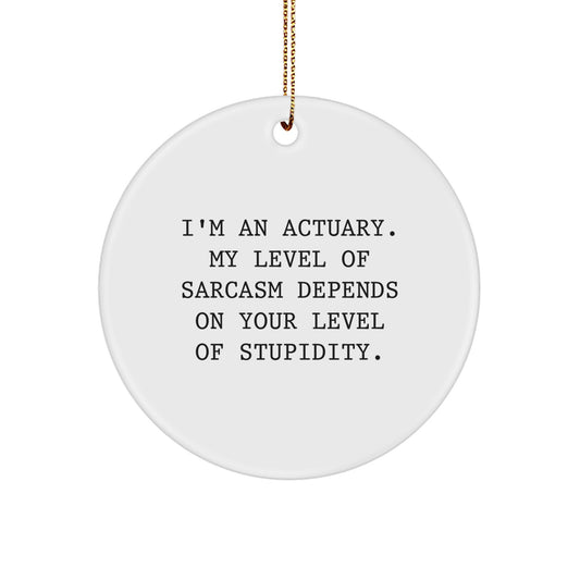 Christmas Unique Gift Ornament for Her – Actuary Sarcasm Funny Present - Image 1