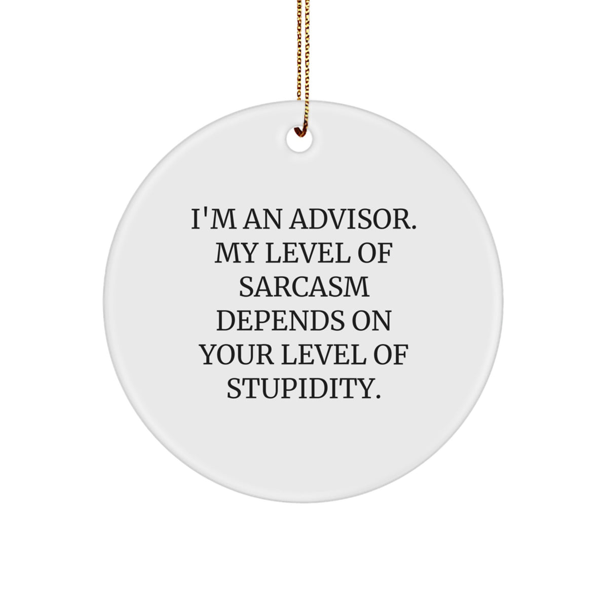 Sarcastic Advisor Christmas Ornament for Roommates Memento Gift - Image 1