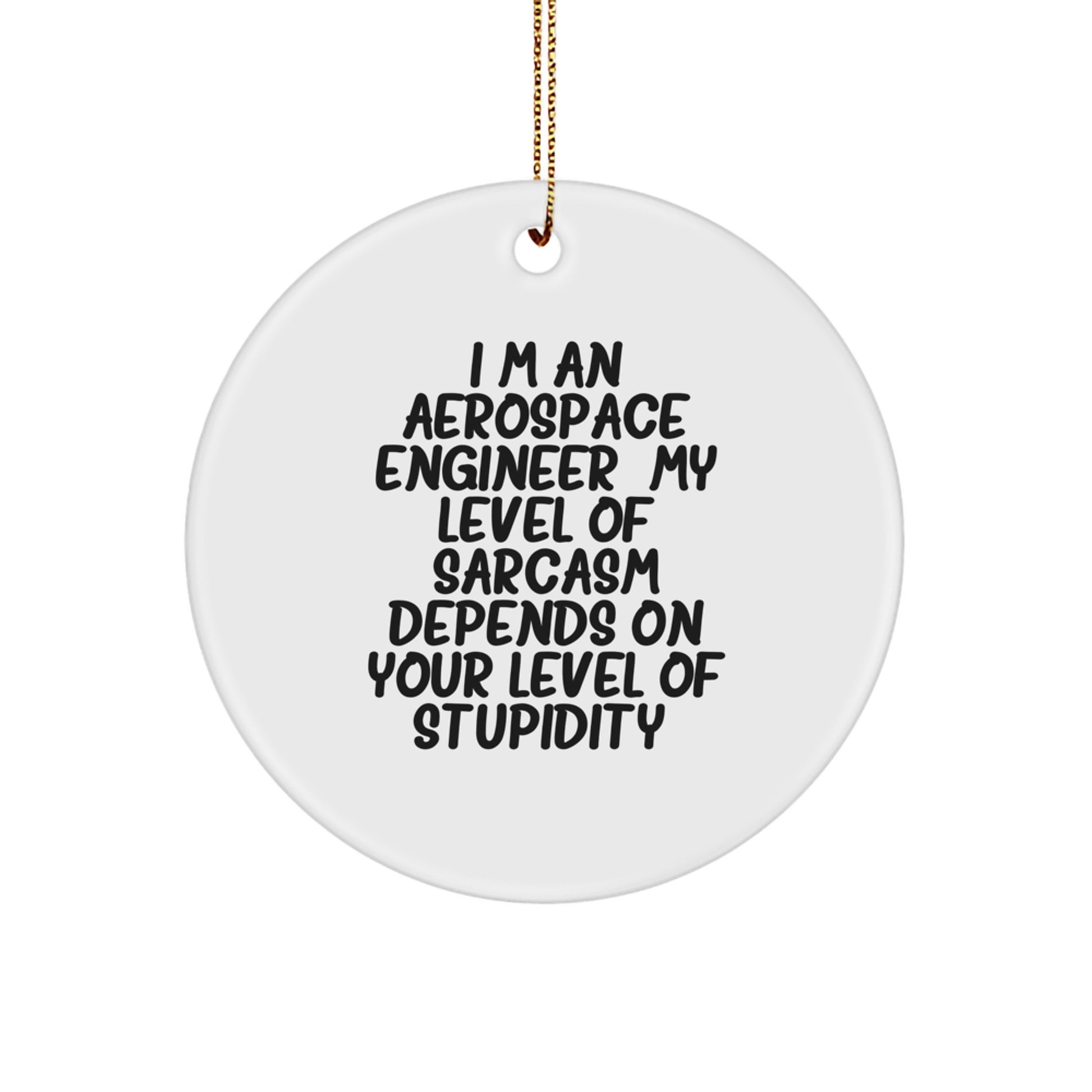 Funny Aerospace Engineer Gifts from Men to Friends - Circle Ornament, 'I'm An Aerospace Engineer...' - Image 1