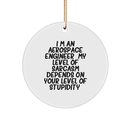 Funny Aerospace Engineer Gifts from Men to Friends - Circle Ornament, 'I'm An Aerospace Engineer...' - Image 1