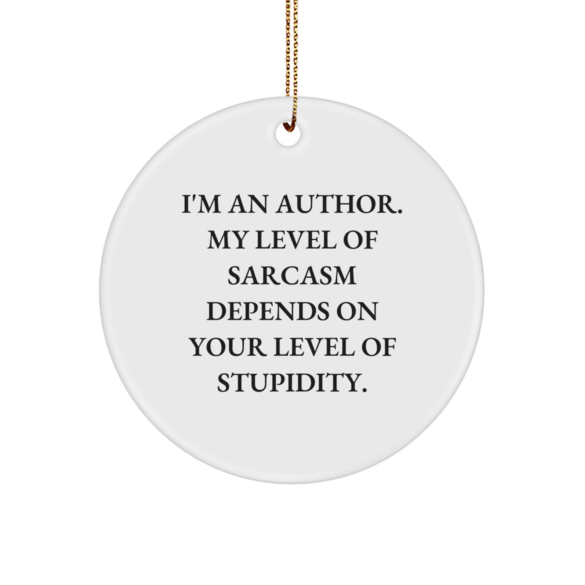 Funny Author Circle Ornament, Author Gifts from Men to Family, Christmas Unique Ornaments for Authors, Sarcasm Level Depends on Stupidity - Image 1