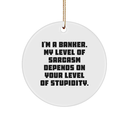 Funny Banker Gifts, I'm A Banker. My Level Of Sarcasm Depends On Your Level Of Stupidity. - Circle Ornament for Christmas, Gifts from Men to Banker - Image 1