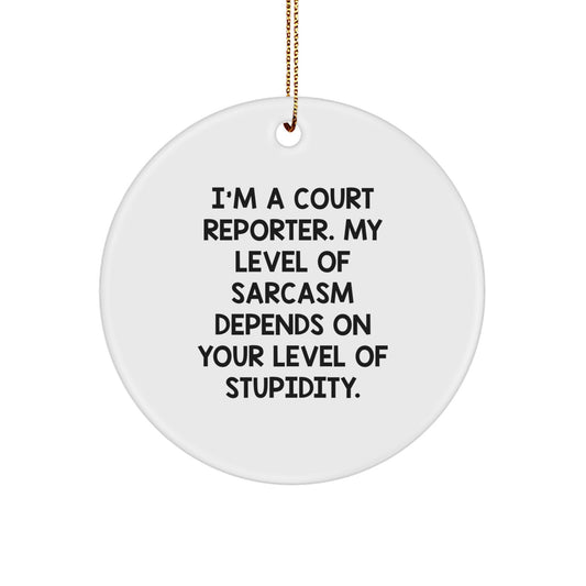 Funny Court Reporter Gifts from Friends, Christmas Unique Circle Ornament for Court Reporters, Sarcasm Humor Quote - Image 1