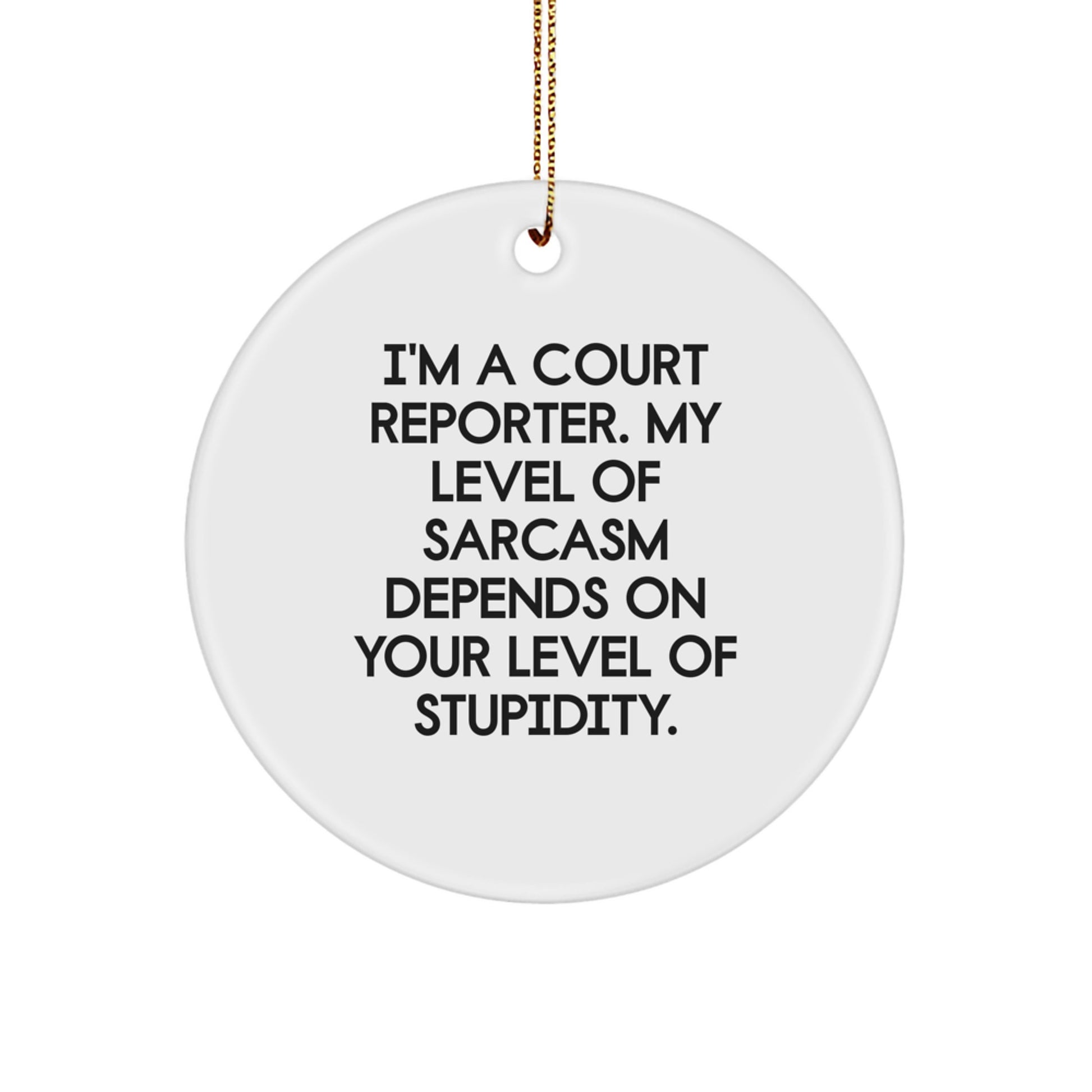 Funny Court Reporter Gifts for Men, Court Reporter Sarcasm Ornaments, Unique Circle Ornament Decorations Gifts from Friends at Christmas - Image 1