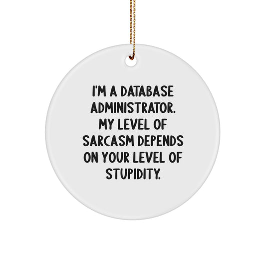 Funny Database Administrator Gifts from Friends for Christmas - Circle Ornament with 'I'm A Database Administrator. My Level Of Sarcasm Depends On Your Level Of Stupidity.' Quote - Image 1