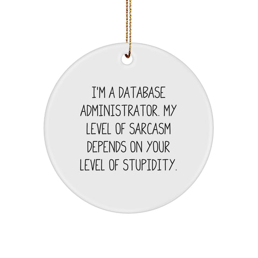 Funny Database Administrator Gifts for Men - Circle Ornament with Sarcasm Quote, Gifts from Friends - Database Administrator Christmas Unique Gifts - Image 1