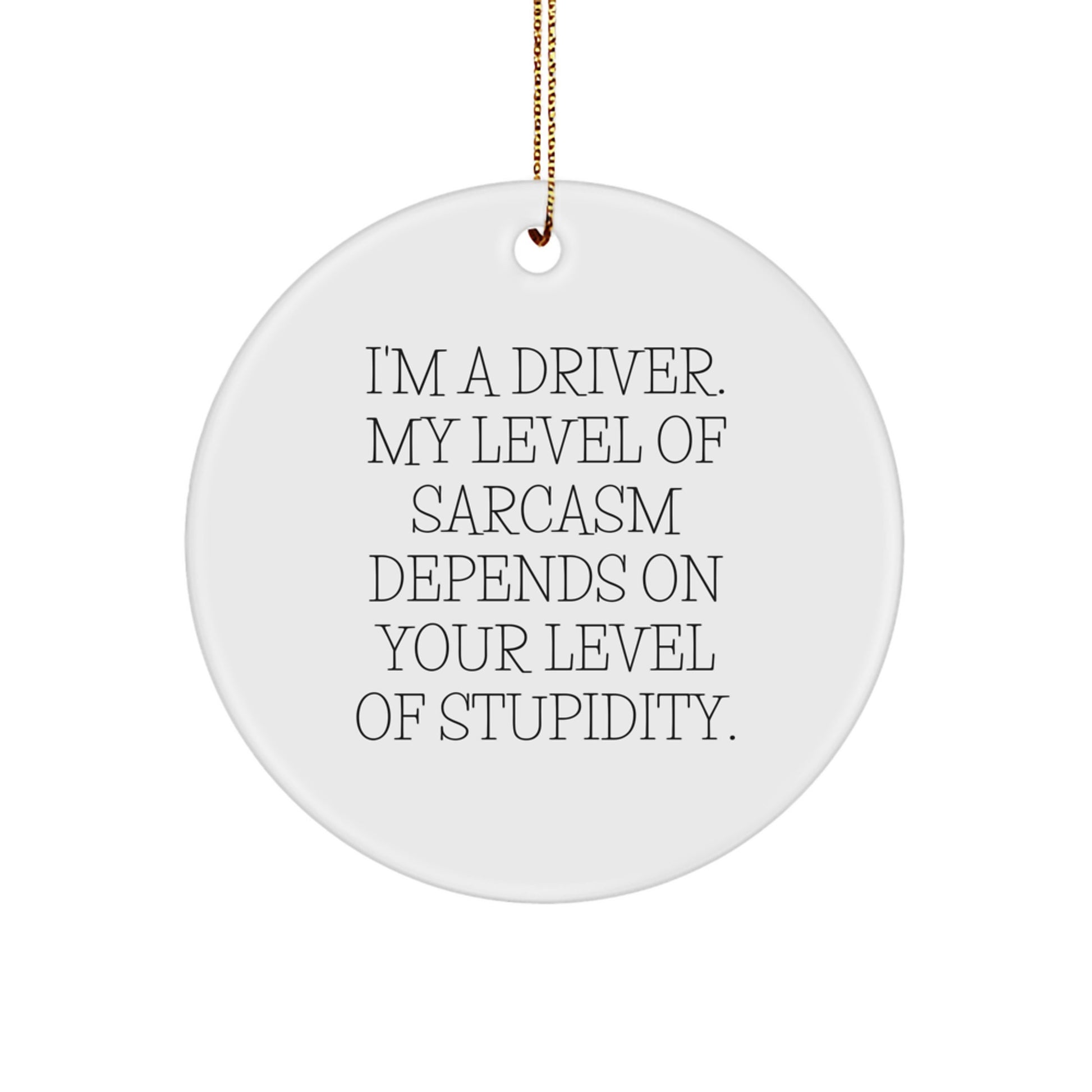 Funny Driver Gifts, Sarcasm Circle Ornament for Men, Gifts from Friends, Unique Christmas Memorable Presents for Drivers - Image 1