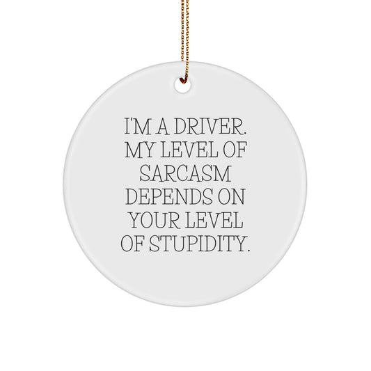 Funny Driver Gifts, Sarcasm Circle Ornament for Men, Gifts from Friends, Unique Christmas Memorable Presents for Drivers - Image 1