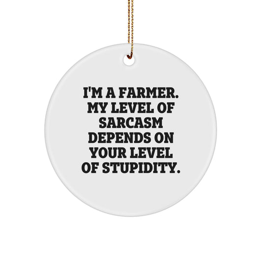 Funny Farmer Gifts from Men to Friends, Circle Ornament with 'I'm A Farmer. My Level Of Sarcasm Depends On Your Level Of Stupidity.' Quote for Christmas Unique Gifts - Image 1