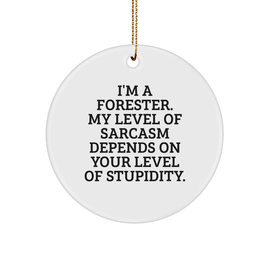 Funny Forester Gifts for Men, Women, and Friends - Christmas Unique Circle Ornament, Sarcasm Level Depends on Stupidity - Forester Humor - Image 1