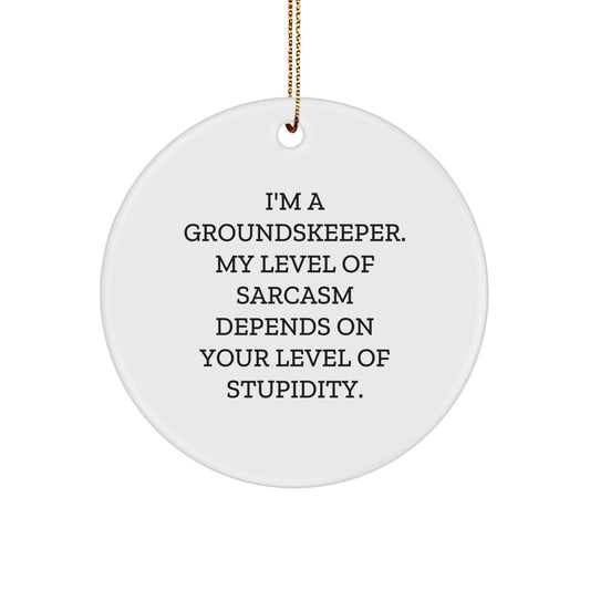 Funny groundskeeper Gifts from Friends for groundskeeper Men, Unique Christmas Decorative Circle Ornament, I'm A groundskeeper Quote, White Circle Shaped MDF Decor - Image 1