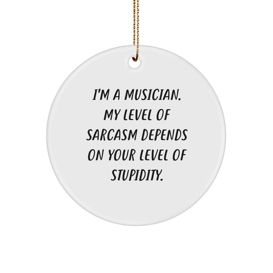 Funny Musician Gifts from Friends for Musician Friends Christmas Unique Ornaments Circle Ornament Sarcasm Quotes Musician Gifts - Image 1