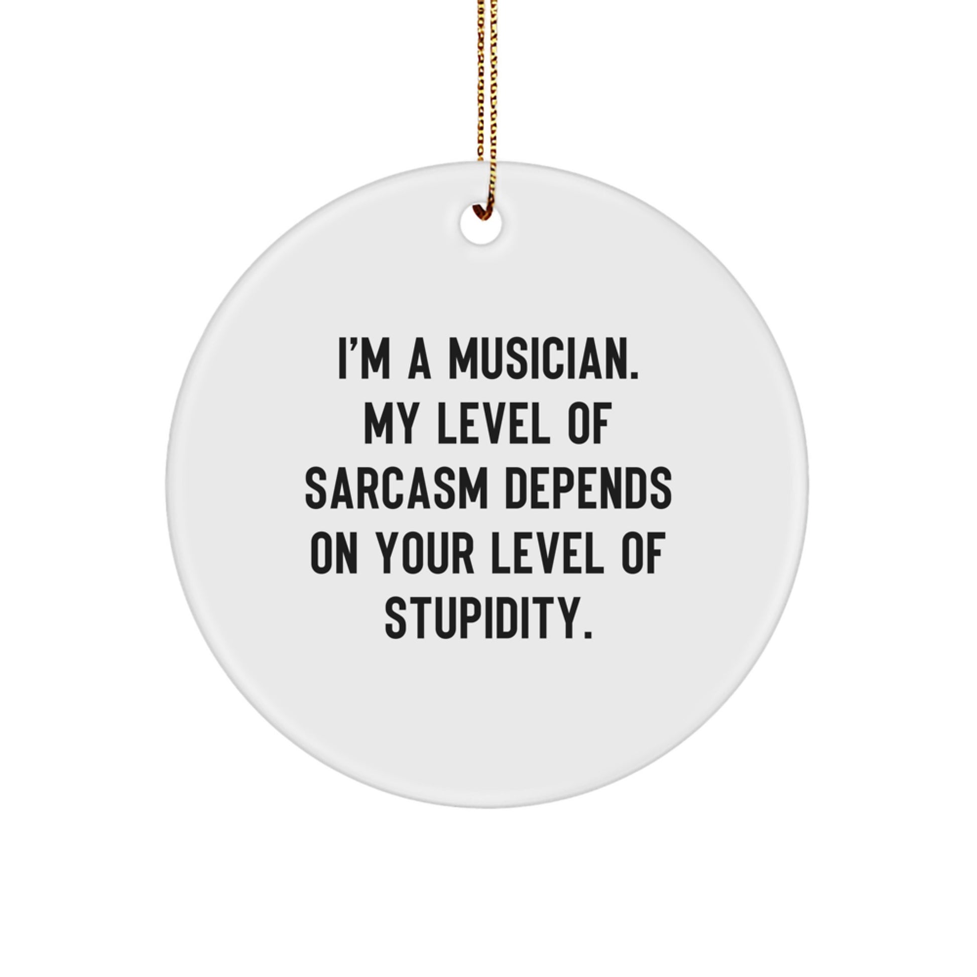 Funny Musician Gifts for Musician Friends Circle Ornament, Sarcasm Quotes, Unique Christmas Unique Gifts from Family, Durable MDF Material - Image 1