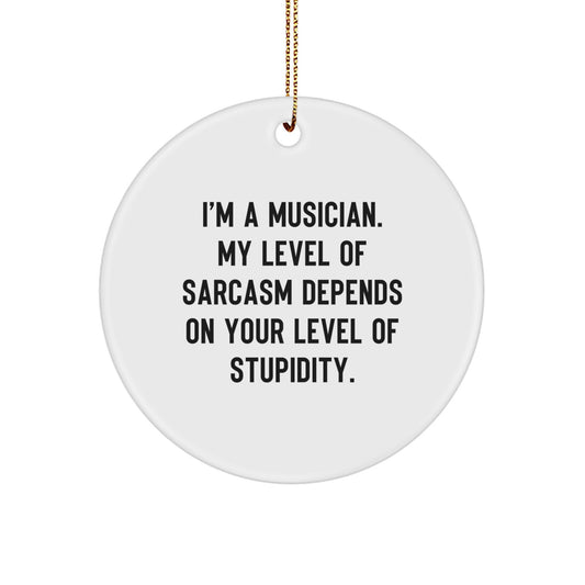 Funny Musician Gifts for Musician Friends Circle Ornament, Sarcasm Quotes, Unique Christmas Unique Gifts from Family, Durable MDF Material - Image 1