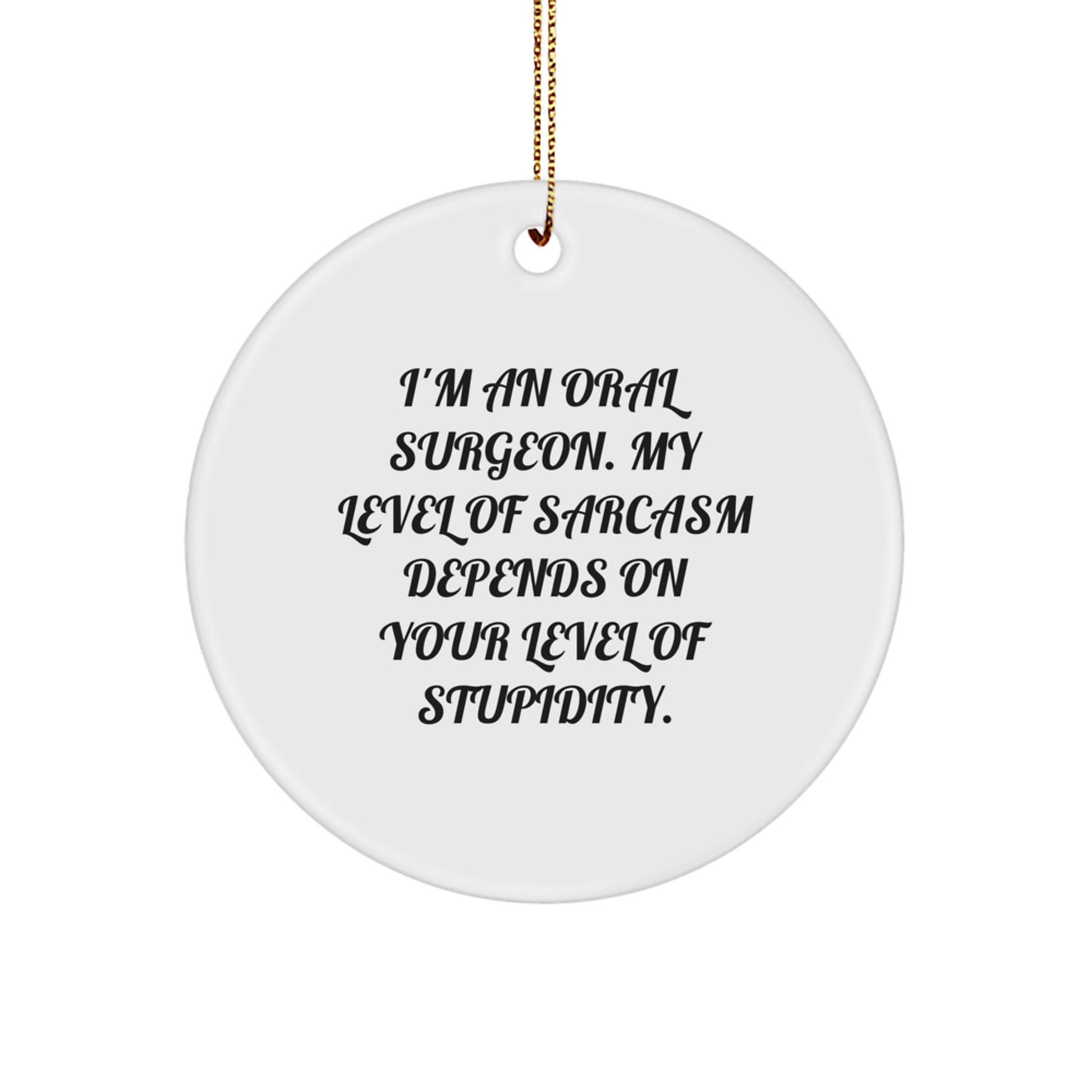 Funny Oral Surgeon Gifts from Men to Best Friends this Christmas Unique Ornament, Sarcasm Level of Stupidity Circle Decoration - Image 1