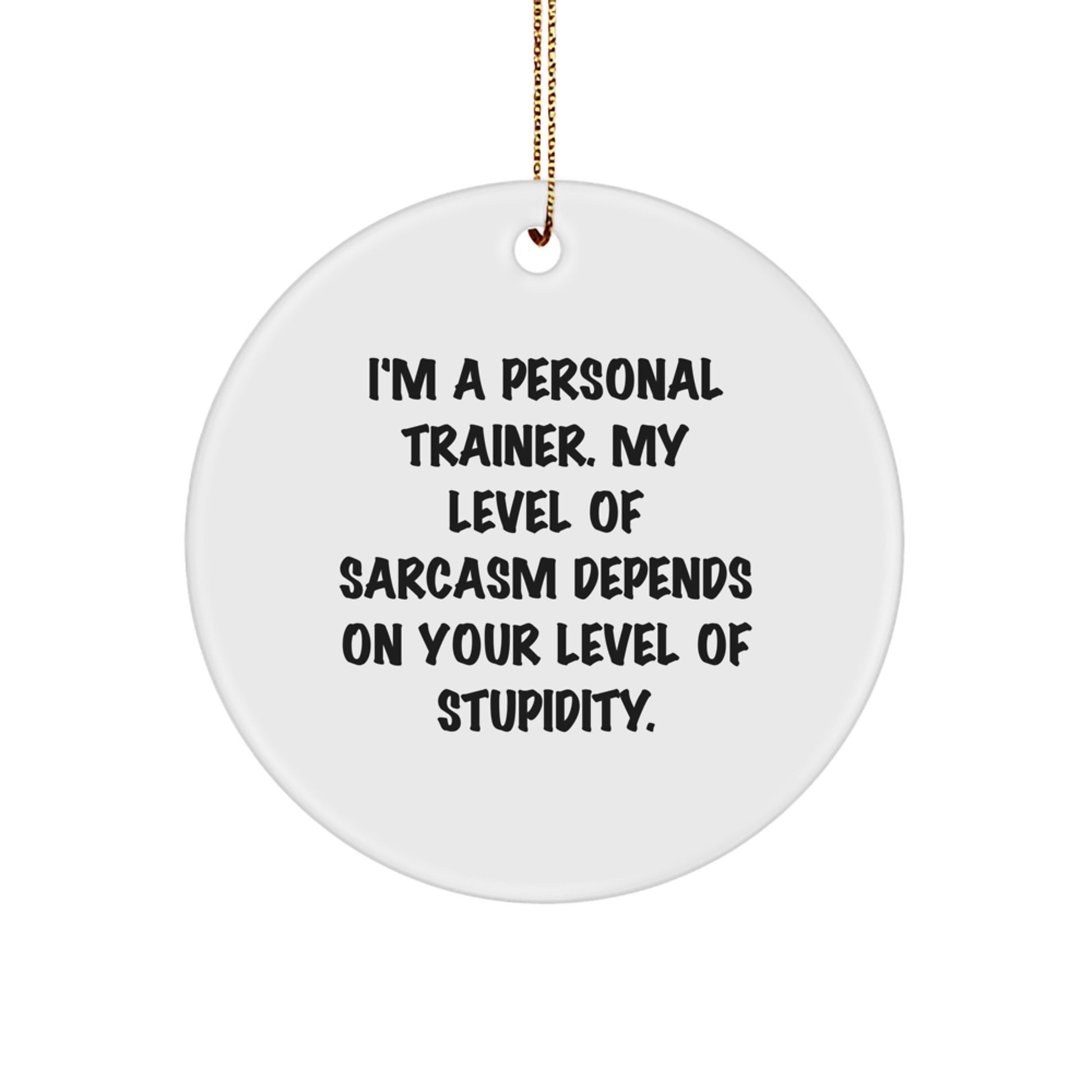 Funny Personal Trainer Christmas Unique Gifts from Friends, Circle Ornament for Personal Trainer, Inspirational Sarcasm Quote - Image 1
