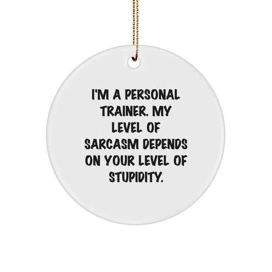 Funny Personal Trainer Christmas Unique Gifts from Friends, Circle Ornament for Personal Trainer, Inspirational Sarcasm Quote - Image 1