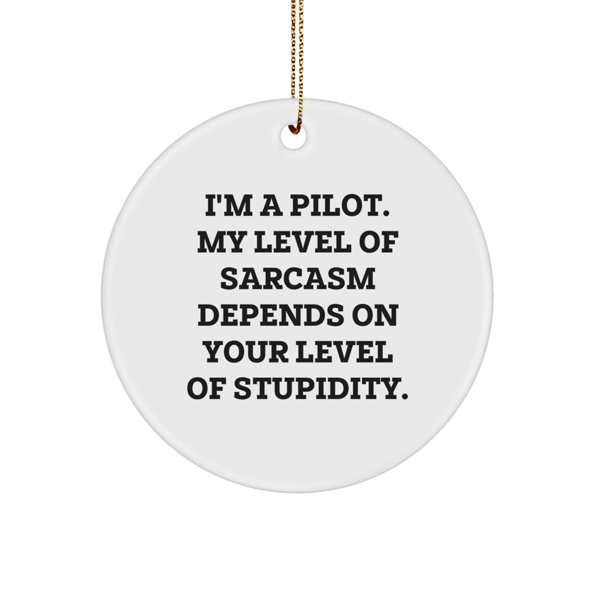 Funny Pilot Gifts from Friends for Men on Christmas Unique Circle Ornament - Image 1