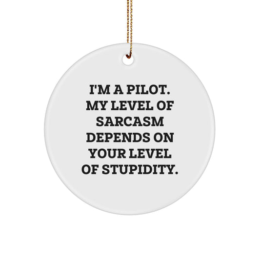 Funny Pilot Gifts from Friends for Men on Christmas Unique Circle Ornament - Image 1
