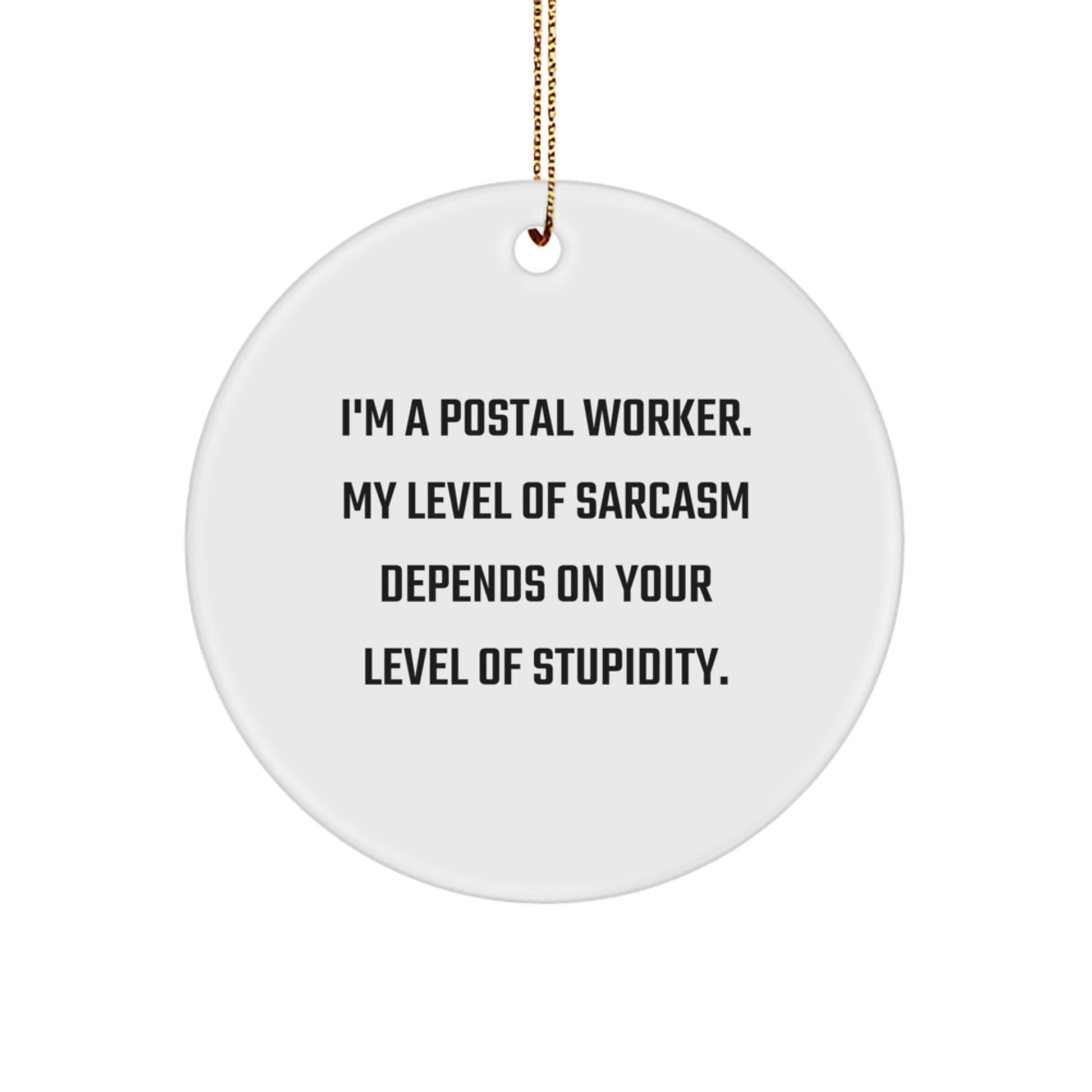 Funny Postal Worker Gifts from Friends for Men - Sarcasm Level Circle Ornament, Unique Christmas Unique Gifts - Image 1