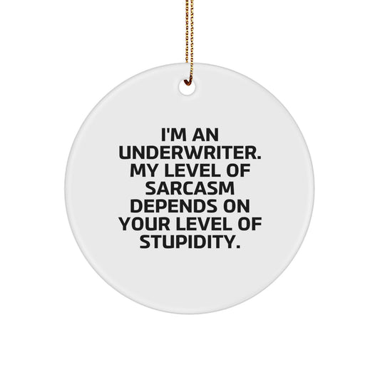 Underwriter Gift, Funny Circle Ornament, 'I'm An Underwriter. My Level Of Sarcasm Depends On Your Level Of Stupidity.' - Gifts from Men to Women, Friends, Coworkers, Family for Christmas - Image 1