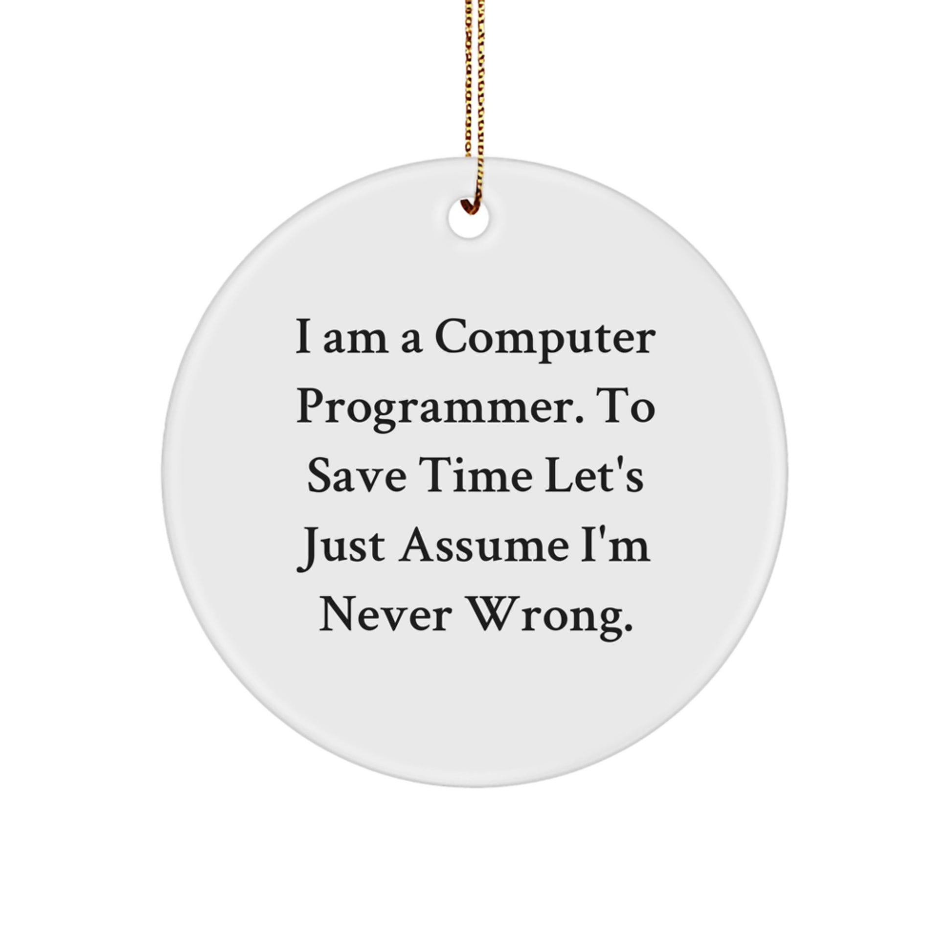 Computer Programmer Circle Ornament, Funny Quote Gifts from Friends, Christmas Unique Presents for Men - Image 1