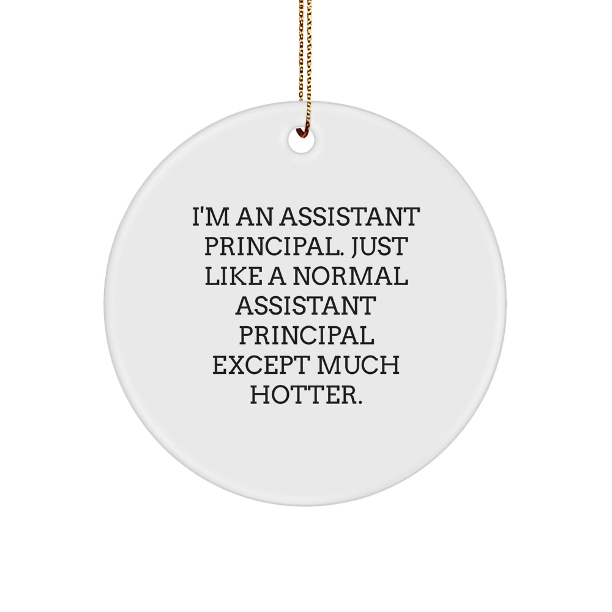 Funny Assistant Principal Gifts for Men - I'm Assistant Principal Ornament Circle Shape White Color, Christmas Unique Gifts from Friends - Image 1
