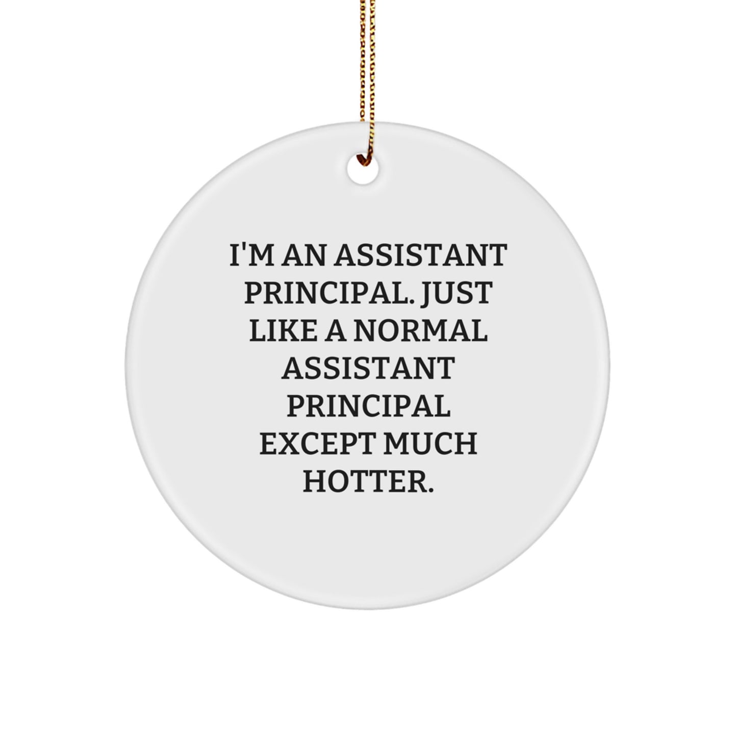 Funny Assistant Principal Gifts from Men - I'm An Assistant Principal Circle Ornament, Unique Christmas Unique Gifts for Assistant Principal, Assistant Principal Office Decor - Image 1