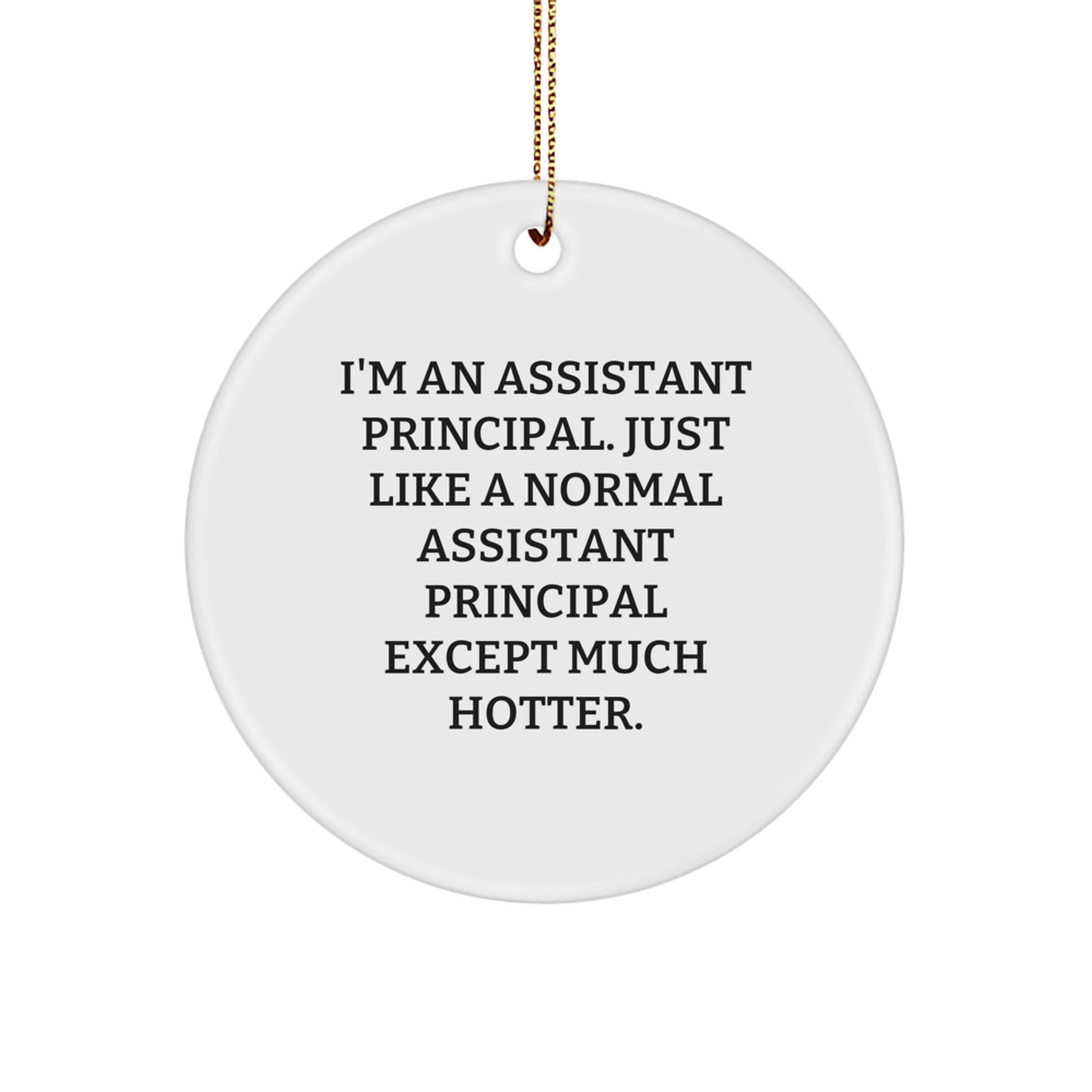 Funny Assistant Principal Gifts from Men - I'm An Assistant Principal Circle Ornament, Unique Christmas Unique Gifts for Assistant Principal, Assistant Principal Office Decor - Image 1