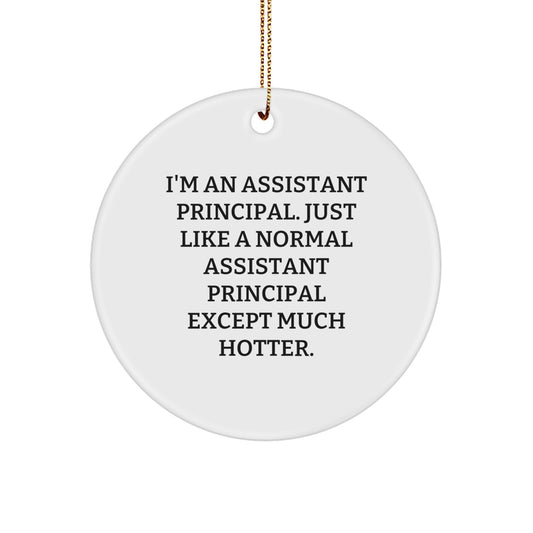 Funny Assistant Principal Gifts from Men - I'm An Assistant Principal Circle Ornament, Unique Christmas Unique Gifts for Assistant Principal, Assistant Principal Office Decor - Image 1