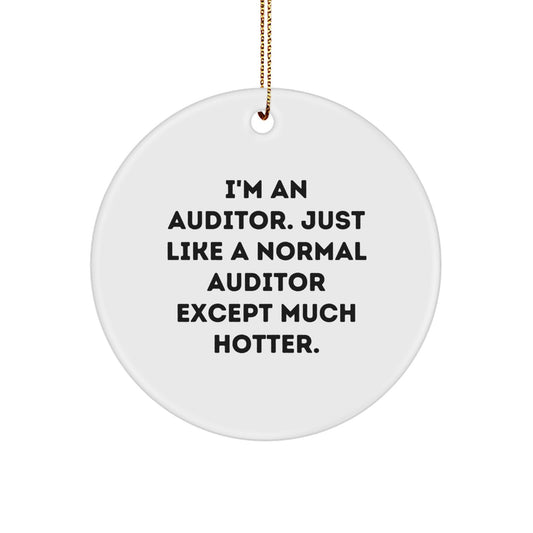 Funny Auditor Gifts, Christmas Unique Circle Ornaments for Auditor Friends, Gifts from Men to Auditor Coworkers - Image 1