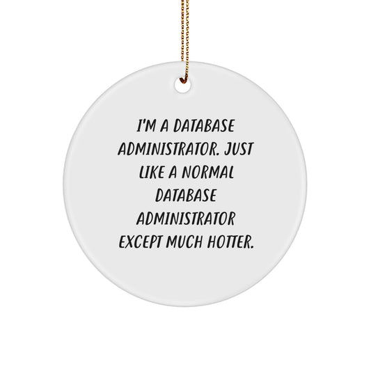 Funny Database Administrator Gifts from Friends, Circle Ornament for Database Administrator, Unique Christmas Unique Gifts for Database Administrator - Image 1