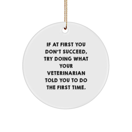 Funny Veterinarian Gifts for Christmas - If At First You Don't Succeed, Try Doing What Your Veterinarian Told You To Do The First Time. Circle Ornament - Image 1