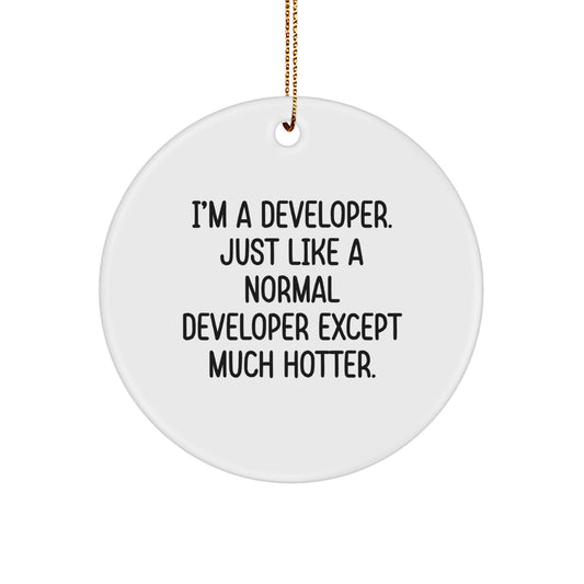 Funny Developer Christmas Unique Gifts, Circle Ornament for Developers, I'm A Developer. Just Like A Normal Developer Except Much Hotter., Gift for Him, Gifts for Developers - Image 1