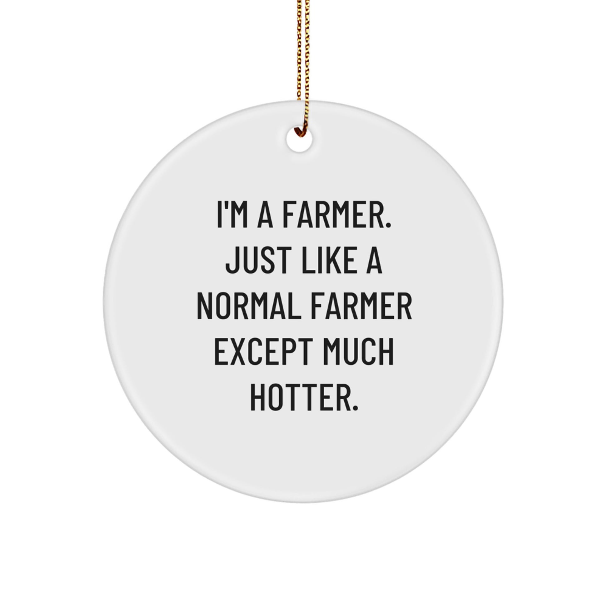 Funny Gifts from Friends for Farmer Christmas Circle Ornament, I'm A Farmer. Just Like A Normal Farmer Except Much Hotter., Perfect for Farmland Decor - Image 1