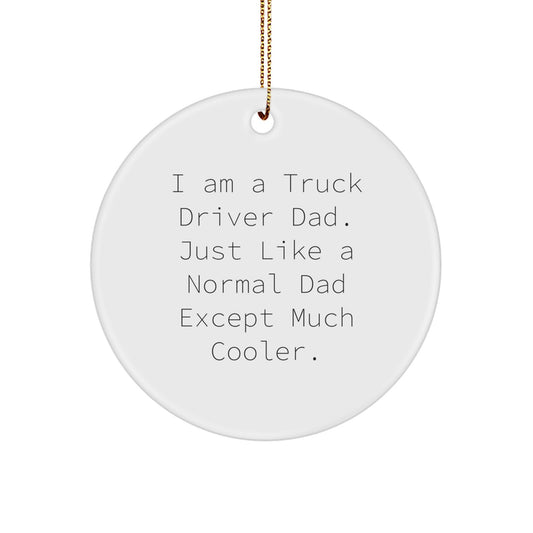 Cool Truck Driver Dad Gifts, Funny Circle Ornament for Men, Christmas Unique Presents from Friends, Family, or Coworkers - Image 1