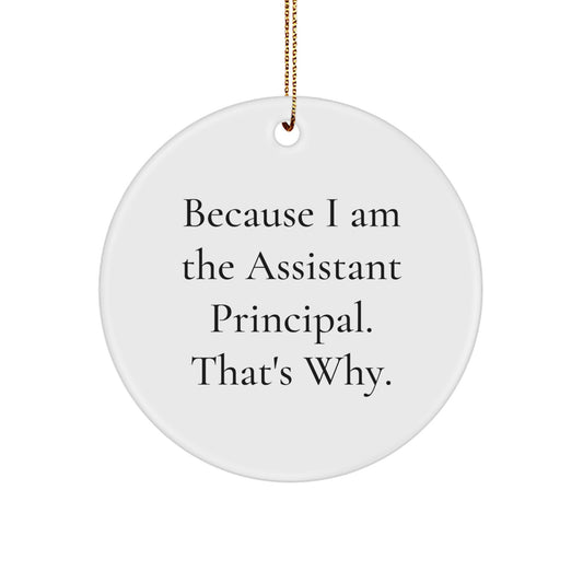 Assistant Principal Funny Circle Ornament Gifts from Men to Assistant Principals Because I Am The Assistant Principal. That's Why., Funny Christmas Unique Gifts for Assistant Principals - Image 1