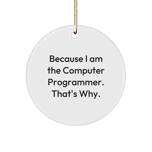 Funny Computer Programmer Gifts, Circle Ornament for Men, Because I Am The Computer Programmer. That's Why., Christmas Unique Gifts from Friends, Perfect for Coworkers or Family - Image 1