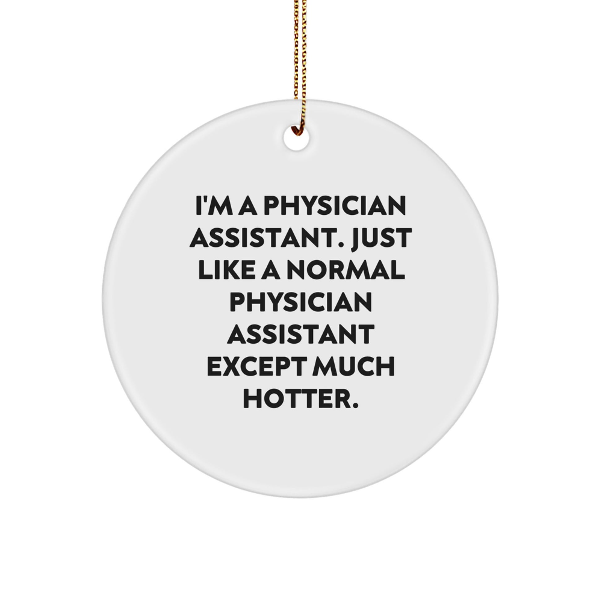 Funny Physician Assistant Gifts, Christmas Unique Circle Ornament for PA Friends from Men, Physician Assistant Women Gift for Women - Image 1