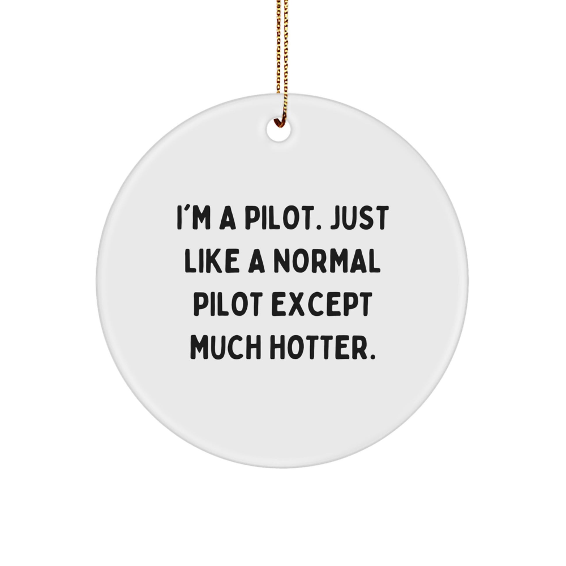 Funny Pilot Gifts from Friends for Christmas Pilot Circle Ornament, 'I'm A Pilot. Just Like A Normal Pilot Except Much Hotter.' - Image 1