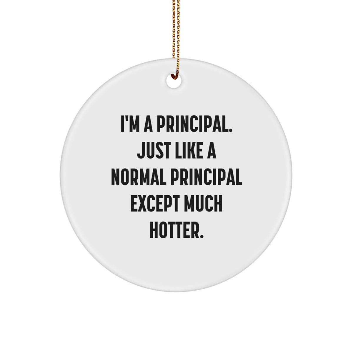Funny Principal Gifts, Christmas Unique Circle Ornaments, Gifts from Men for Women, Principal Friends, I'm A Principal Except Much Hotter. - Image 1